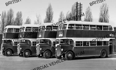 AEC Regent / Brighton Hove and District / AEB08530a