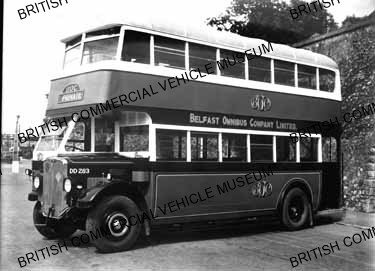 AEC Regent / Belfast Omnibus Co. Ltd., DD283 / AEL0550q