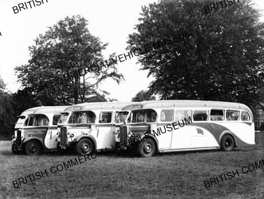 AEC Regal / F H Crook / AEM1796q