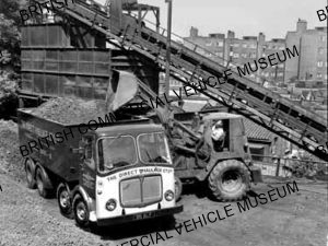 AEC Mammoth Major 8 Mk.V / The Direct Haulage Co. Ltd / AEP20357a