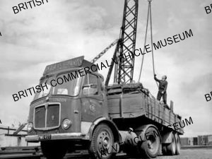 AEC Mandator Tractor Unit / Peter McCallum and Sons Ltd / AEP23798a