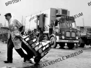 AEC Mammoth Major 8 Mk.V / Suttons of Cornwall / AEP28578a
