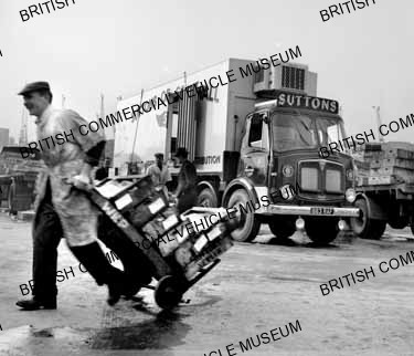 AEC Mammoth Major 8 Mk.V / Suttons of Cornwall / AEP28578a