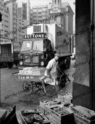 AEC Mammoth Major 8 Mk.V / Suttons of Cornwall / AEP28583a