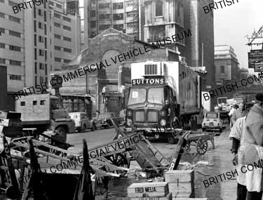 AEC Mammoth Major 8 Mk.V / Suttons of Cornwall / AEP28585a