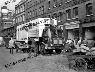 AEC Mammoth Major 8 Mk.V / Suttons of Cornwall / AEP28586a