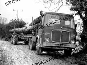 AEC Mammoth Major tractor unit / Jabez Parker Ltd / AEP42517-7a