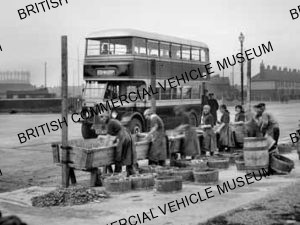 AEC Regent / Great Yarmouth / AEU0061a