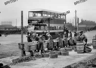 AEC Regent / Great Yarmouth / AEU0061a