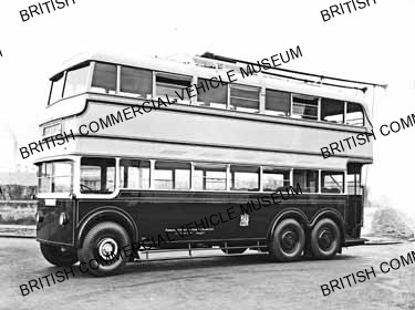 Leyland TTB / D / D trolleybus / L012332q