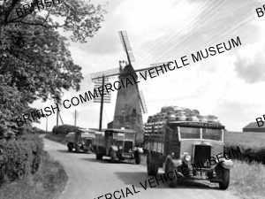 Leyland Cubs (3) / T Pickles & Sons, Preston / L012936a