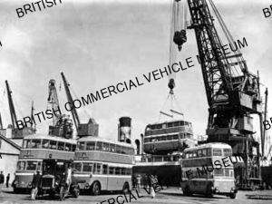 Leyland Trolleybuses / Durban / L015018q