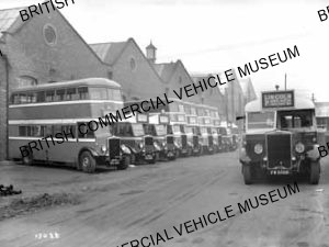 Group of various Leyland models / Lincolshire Road Car and others / L017088