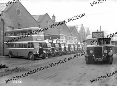 Group of various Leyland models / Lincolshire Road Car and others / L017088