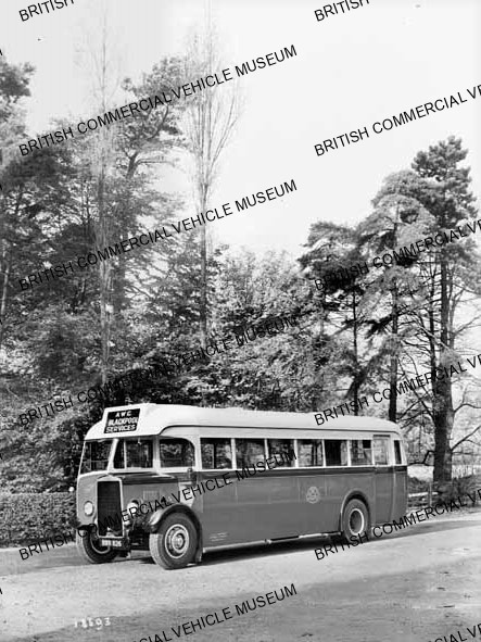 Leyland Lion LT7 / A and C Wigmore, Dinnington / L018593