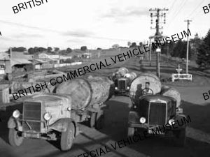 Leyland Beavers / Yunburra Sawmills, Queensland / L033291q
