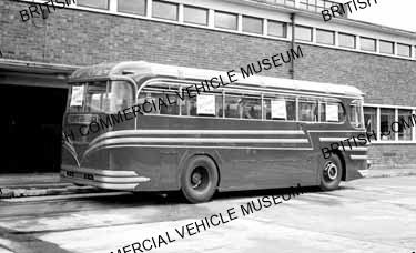 Leyland Royal Tiger PSU1 / 15 / Blue Cars (Continental) Ltd., London / L041534q