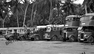 Row of six Leyland buses / South Western Omnibus Co., Columbo / L051150a