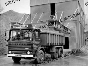Leyland Bear / Hedges of Pilling / L124313a