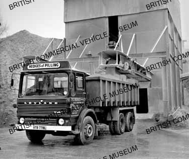 Leyland Bear / Hedges of Pilling / L124313a