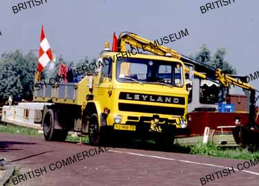 Leyland Terrier / LTR-999-01q