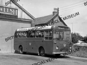 Albion Nimbus NS3AN / Western Welsh, 37 / MAT0178q