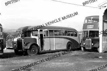 Leyland Tiger PS1 / 1 / Wood, Brighouse / MAT0197q