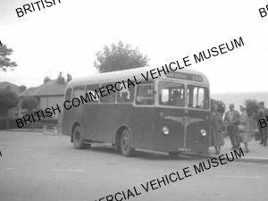 Albion Nimbus NS3 / Penmaenmawr Motor Co / MAT6080q
