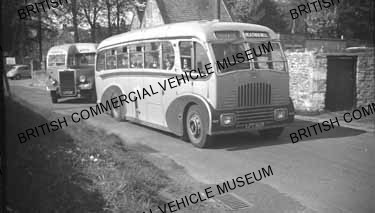 Leyland Tiger PS / Heather Bell / MAT6520q