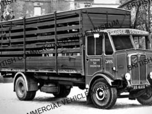 AEC Matador MarkII / George Patterson, Haddington / AEL02192a