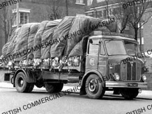 AEC Mercury / Peter McCallum and Sons Ltd., Bannockburn / AEP11019a