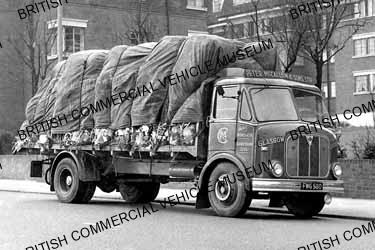 AEC Mercury / Peter McCallum and Sons Ltd., Bannockburn / AEP11019a