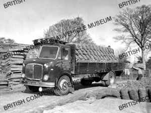 AEC Mercury / M Rose, Kings Lynn / AEP12437a