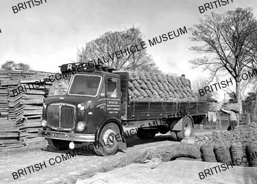 AEC Mercury / M Rose, Kings Lynn / AEP12437a
