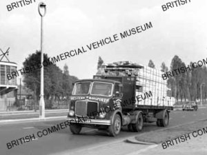AEC Mercury tractor unit / Western Transport Ltd., Bristol, 17 / AEP15904a