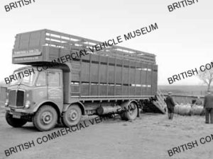 AEC Mustang / W Armstrong and Sons Ltd., Ponteland / AEP17065a