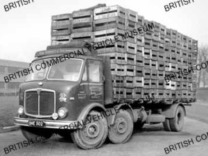 AEC Mustang / Tom Roberts and Son (Barnsley) Ltd / AEP17895a