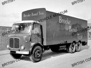 AEC Marshal / Brooke Bond / AEP28252a