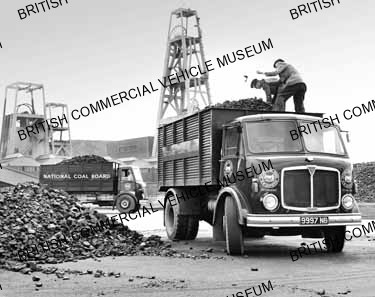 AEC Mercury Mk.II / National Coal Board / AEP29200a