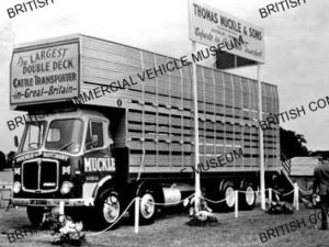 AEC Mammoth Major 8 / Thomas Muckle & Sons, rothbury / AEP33866a