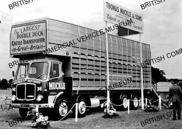 AEC Mammoth Major 8 / Thomas Muckle & Sons, rothbury / AEP33866a