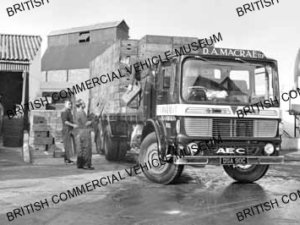 AEC Mammoth Major 6 / D A MacRea Ltd., Hull / AEP34223a