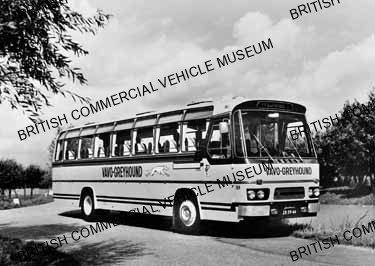 AEC Regal VI / Vavo-Greyhound / AEP34892a