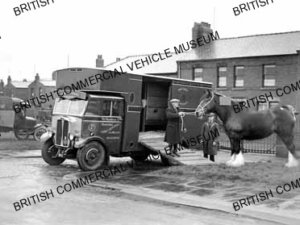 Leyland Cub (f / c) / Chris Caterall, Blackpool / L012876a
