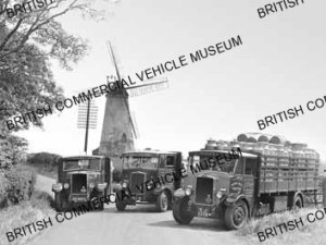 Leyland Cub / T Pickles & Sons / L012935a