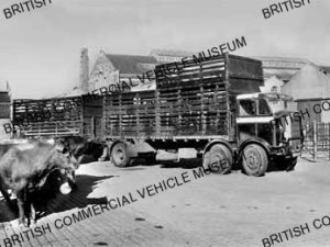 Leyland Steer TEC2 / Thomas Sinclair, Repton / L020597a