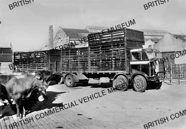 Leyland Steer TEC2 / Thomas Sinclair, Repton / L020597a