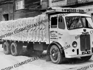 Leyland Hippo / G W Meggs & Son, Halstead, Essex / L034742a