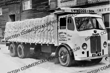 Leyland Hippo / G W Meggs & Son, Halstead, Essex / L034742a