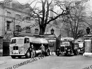Leyland Steer 155 / 1 / Hammerton / L046460a